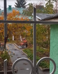  2  46.9 .  . . .  16