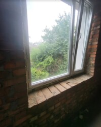  2-     Friendly,  ,  .  5