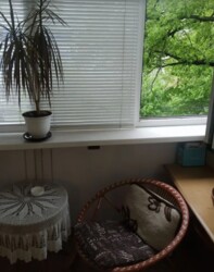 Продається 3-х кімнатна квартира в Замостянському районі. Великогабаритна фото 25 Продається 3-х кімнатна квартира в Замостянському районі. Великогабаритна фото 25