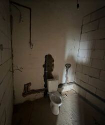 ������ 1� �������� 46.6 ��. � �� ���. ����������� ���� 5