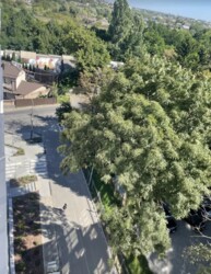 Продаж 1-но кімнатної великогабаритної квартири в новобудові. фото 2 Продаж 1-но кімнатної великогабаритної квартири в новобудові. фото 2