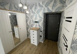  1-    -  .  ,  .  17