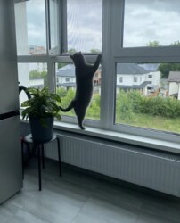 Продається 1-но кімнатна квартира в р-ні Поділля. Ремонт. фото 10 Продається 1-но кімнатна квартира в р-ні Поділля. Ремонт. фото 10