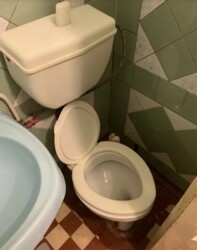 ��������� 2-� ������� �������� � ����� ����. ���� 19