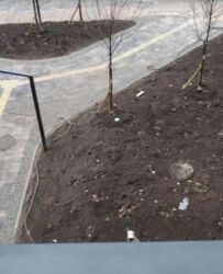 Продається 1-но кім-на кв-ра в новобудові, без ремонту. ЖК Central Park Vinnytsia фото 7 Продається 1-но кім-на кв-ра в новобудові, без ремонту. ЖК Central Park Vinnytsia фото 7