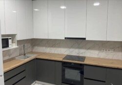  2  48 .   . . - ,  .  1