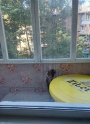 Продаж 1-но кімнатної квартири в р-ні Слов'янка. Житловий стан. фото 3 Продаж 1-но кімнатної квартири в р-ні Слов'янка. Житловий стан. фото 3