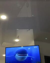  1  61 .   . ' ,     7