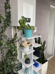 Продається 2-х кімнатна квартира в Старому місті. Гарний ремонт фото 11 Продається 2-х кімнатна квартира в Старому місті. Гарний ремонт фото 11