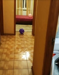 Продається 3-х кімнатна квартира в Замостянському районі. фото 4 Продається 3-х кімнатна квартира в Замостянському районі. фото 4