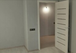  1  40.9 .   . ,    7