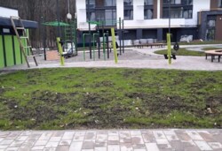  1-     Forest Home  3