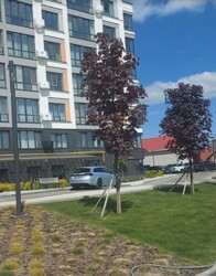 Продається 2-х кімнатна квартира в новобудові. Ленінський район (Центр). Чорнова. фото 1 Продається 2-х кімнатна квартира в новобудові. Ленінський район (Центр). Чорнова. фото 1