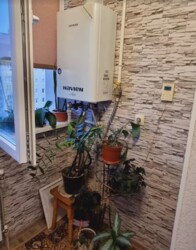 ��������� 1-�� ������� �������� � �������������� ������. ������ ���� ���� 11