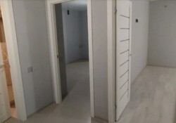  1  40.9 .   . ,    8