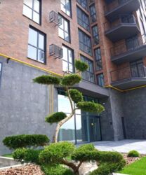 ������ 1� �������� 40 ��. � �� ���. �������� �� Dream Lake ���� 2