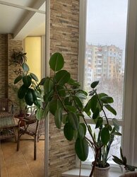 Продається 4-х кімнатна квартира, ремонт, все є, гарний район і стан фото 7 Продається 4-х кімнатна квартира, ремонт, все є, гарний район і стан фото 7