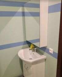  1  43.7 .   .     . .  .  11