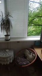 ��������� �������� ³�����, ³�������, ������������� ���� 21