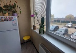  1-  .  .  , ,   .  8