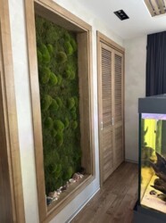  3-     Avalon. 110 .. - '.  3