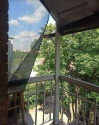  2-     Forest Home. - '  11