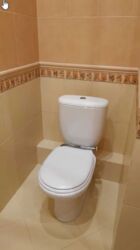 ��������� �������� ³�����, ³�������, ������������� ���� 17