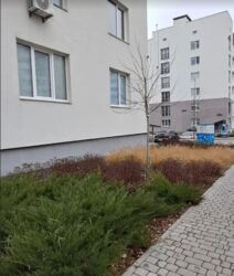 ������ 1-������� ��������. �-� ���������� ���� 31