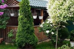 Продаж 5к квартири 173 кв. м на вул. Володимира Винниченка. Замостянський район. фото 3 Продаж 5к квартири 173 кв. м на вул. Володимира Винниченка. Замостянський район. фото 3