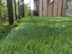 Продается 1к квартира фото 9 Продается 1к квартира фото 9