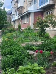 Продам 1-комнатную квартиру Центр фото 14 Продам 1-комнатную квартиру Центр фото 14