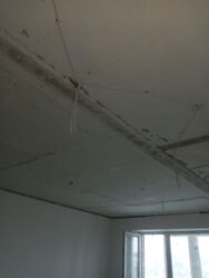 Продается 1к квартира под ремонт Врачебная фото 5 Продается 1к квартира под ремонт Врачебная фото 5