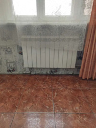 ������ 3-��������� �������� �����. ���� 5