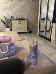 Продам 3-х комнатную квартиру в центре. фото 4 Продам 3-х комнатную квартиру в центре. фото 4