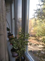 Продам 2-х комн. квартиру район Артёма, фото 9 Продам 2-х комн. квартиру район Артёма, фото 9