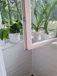 3-- комнатная Химик фото 6 3-- комнатная Химик фото 6