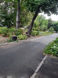 Продам 3-х комнатную квартиру / Черемушкм фото 7 Продам 3-х комнатную квартиру / Черемушкм фото 7