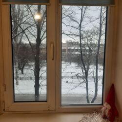 ������ 1 ��������� ��������/ ����������� ���� 4