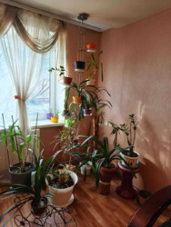 Продам 3-х комнатную квартиру /Центр фото 10 Продам 3-х комнатную квартиру /Центр фото 10