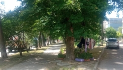 Продам 1 комнатную квартиру / Черемушки фото 8 Продам 1 комнатную квартиру / Черемушки фото 8