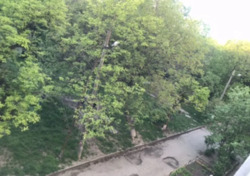 ������ 4-� ��������� �������� / ��������� ���� 6