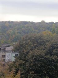 ������ 4-� ��������� �������� / ������ ���� 18