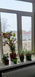  4-    -   2