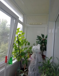 Продам 3-х комнатную квартиру / Соцгород фото 5 Продам 3-х комнатную квартиру / Соцгород фото 5