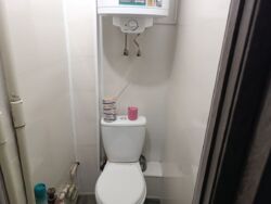 ������ 2-� ��������� ��������/ ����� ����� 3 ���., ���� 13