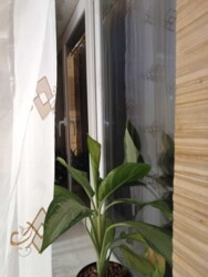 Продам 2-х комнатную квартиру / Вокзал фото 7 Продам 2-х комнатную квартиру / Вокзал фото 7
