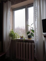 ������ 2-� ��������� �������� / ������ ���� 7