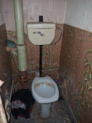 ������ 4-� ��������� �������� / ����� �����, 4�. ���� 12