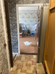 ������ 2-� ��������� �������� / ��������� ���� 13