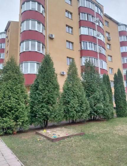 ������ �������� 1-������� �������� ���.������� (��� ����) ���� 1